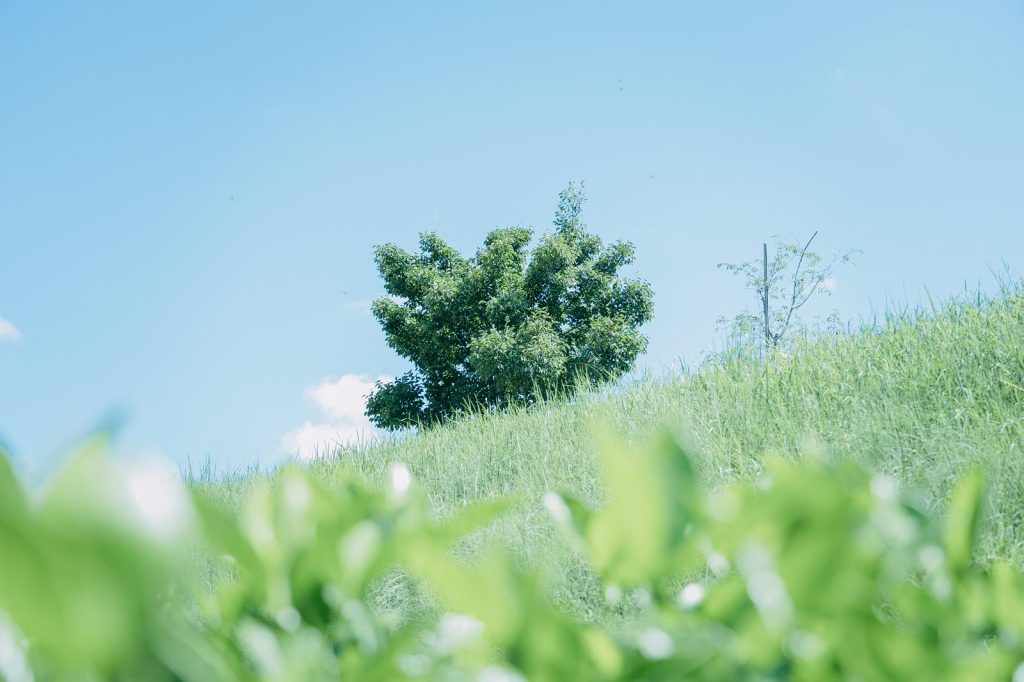 青空